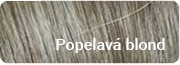 popelava blond